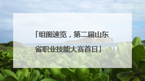 组图速览，第二届山东省职业技能大赛首日